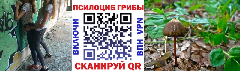 ОМГ ОМГ ТОР  Кремёнки  Галлюциногенные грибы Cubensis  где найти наркотики 